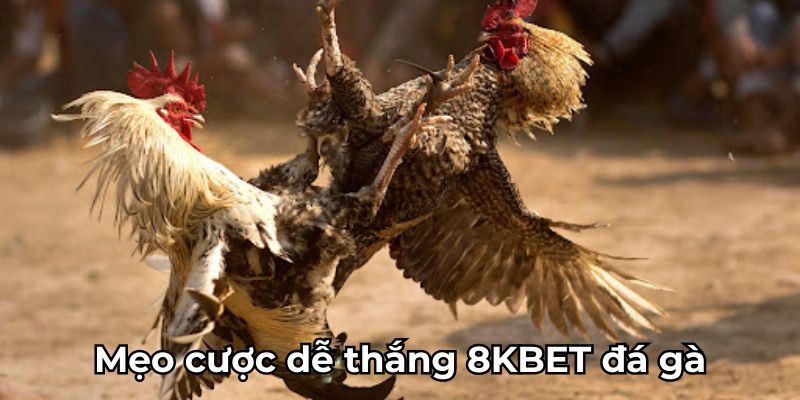 meo-cuoc-de-thang-8kbet-da-ga